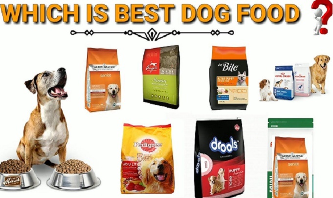 Choosing the Best Canned Food for Your Growing Puppy
