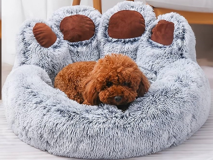 How to Incorporate Dog Furniture into Your Interior Design